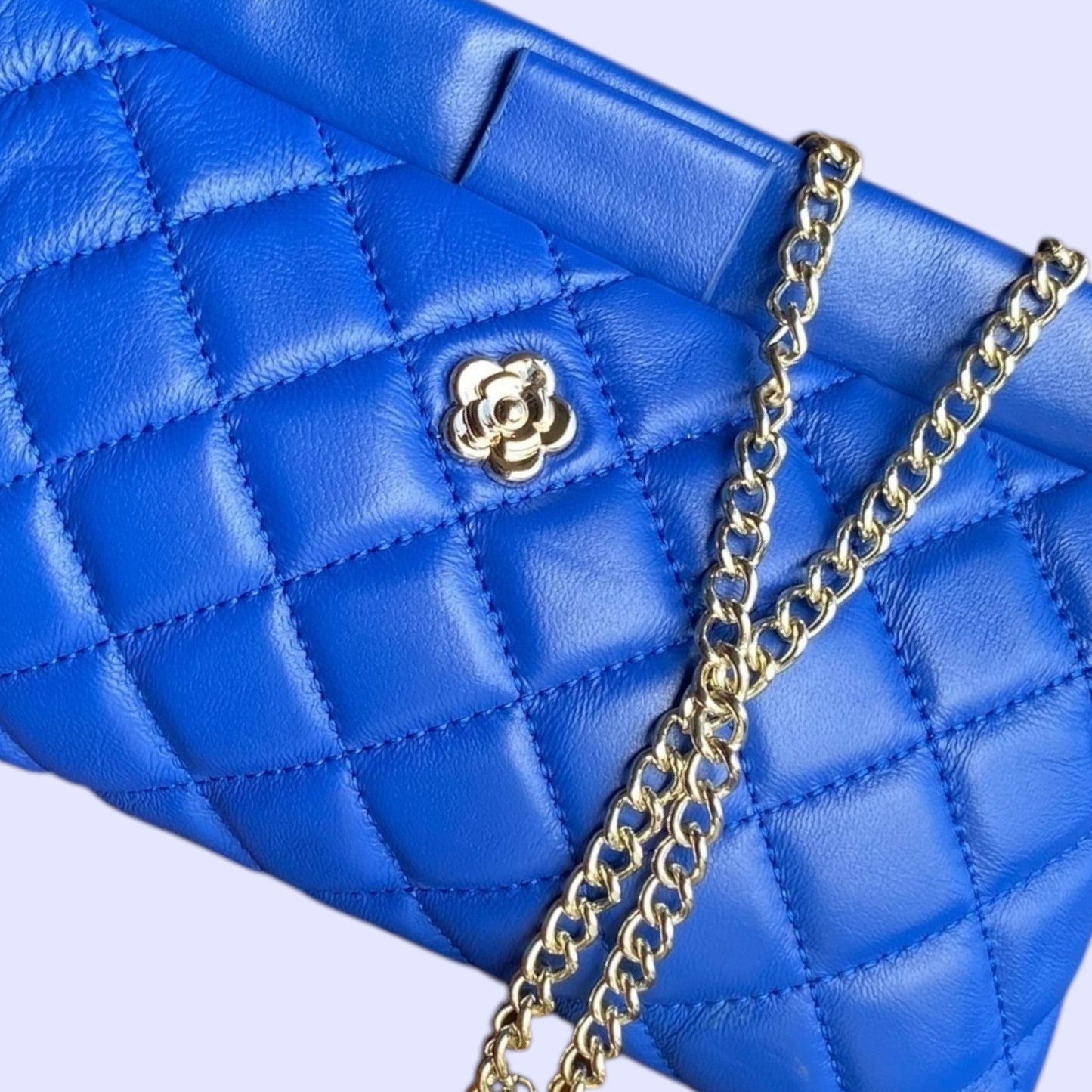 Eleonora borsa piccola in pelle con catena